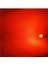 ( 4 x Adet) 1 Set T10 LED Dipsiz Ampul 12V Porselen&seramik Red (0°ısınma&porselen Zemin) 3