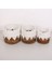 Mylamp Didim Doğal Abaka 3 Lü Set Saksılık & Saklama Düzenleme 5