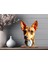 3D Ayaklı Ahşap Köpek Fotoğraf Baskı 1