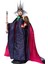 Disney Princess Evil Queen Collectible 3