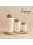 3'lü Top Mantar Kapaklı Stantlı Çizgili Porselen Kavanoz ve Baharatlık Seti 3