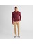 Erkek Bordo Regular Fit Bisiklet Yaka Kazak 3