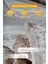 Çift (Taraflı) Kişilik Kürk Yorgan Uyku Seti Yumuşak Dolgulu Wellsoft Peluş 3 Parça Leopar Madre 2