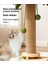 Masif Ahşap Kedi Atlıkarınca Kedi Tırmalama Direği Teaser Kedi Sopa Kedi Tırmalama Tahtası Dalı Kedi Oyuncakları Sisal Kedi Tırmanma Çerçevesi (Yurt Dışından) 2