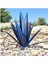 Tequila Rustik Heykel Metal Agave Bitki Ev Dekoru Rustik El Boyalı Metal Agave Bahçe Süsleri Açık Hava, 27CM (Yurt Dışından) 3