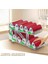 2 Paket Soda Kutusu Düzenleyici Dağıtıcı Buzdolabı Tutucuları Buzdolabı Mini Ince Raf Konteyner Geniş Ayarlanabilir (Yurt Dışından) 2