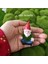 Adet Komik Bahçe Cüceleri, Yoga Cüce Bahçe Süsleri, Peri Bahçe Gnome Aksesuarları Minyatür Süslemeleri (Yurt Dışından) 5