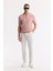 Erkek Pembe Polo Yaka Viskon Karışımlı Basic Triko Regular Fit T-Shirt B005120 3
