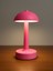 Pembe Mantar Masa Lambası – 3 Renk Işık (Kırmızı, Beyaz, Gün Işığı) | USB Girişli, Ayarlanabilir Şiddet 1