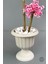 Yapay Ağaç Doğal Bambu Gövdeli Japon Ağacı Pembe Bahar Dalı Ağacı 125CM 2