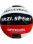 280 gr Voleybol Topu Renkli 4