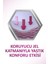 Max Tutus Yastık Konforu Yapıstırıcı Krem 40 gr 2