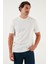 Pamuklu Regular Fit Bisiklet Yaka T Shirt Erkek T Shirt 59020204 3