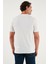 Pamuklu Regular Fit Bisiklet Yaka T Shirt Erkek T Shirt 59020204 7