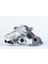 Turbo Polo 14 Ibıza-Fabıa-A1 14 1.4tdı Cusb-Cyzb Borgwarner 1