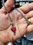 mini Stabbed Heart Kuru Kafa Detaylı Kolye 1