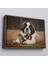 Çerçeveli St. Bernard Köpek ve Yavru Kediler Dekoratif Kanvas TABLO-1124 1