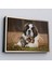 Çerçeveli St. Bernard Köpek ve Yavru Kediler Dekoratif Kanvas TABLO-1124 2