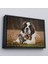Çerçeveli St. Bernard Köpek ve Yavru Kediler Dekoratif Kanvas TABLO-1124 3