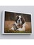 Çerçeveli St. Bernard Köpek ve Yavru Kediler Dekoratif Kanvas TABLO-1124 4