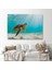 Deniz Kaplunbağası Dekoratif Kanvas Duvar Tablosu(Üç PARÇA)-3662 2