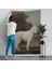 George Stubbs Beyaz Kaniş Duvar ÖRTÜSÜ-8034 3