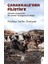 Çanakkale’den Filistin’e Osmanlı Ordusunda Bir Ermeni Yüzbaşının Günlüğü 1