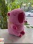 Yumuşacık ve Gerçekçi: 33 cm Pembe Pamuk Şeker Cappybara Peluş Oyuncak 2