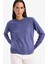 Relax Fit Bisiklet Yaka Triko Kazak C0058AX25WN 3