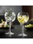 Elite Alkemist 6'lı Kadeh Seti 530 ml 1 Adet 4