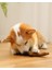 Yeni Evcil Hayvan Köpeği Ağız Kokusuna ve Aşınmaya Karşı Dayanıklıdır (Yurt Dışından) 5