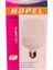 Hopel 30 W Büyük Boy LED Ampul 1