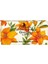 Flowers Zambak Bitkisel Sabun 100 Gr 1