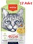 Bal Kabağı & Havuçlu Tavuk Etli Kedi Çorbası 50 Gr*12 Adet 1