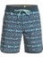 Surfsilk Tijuana 19 Erkek Boardshort 1