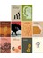 E. M. Cioran 10 Kitap Set - Çürümenin Kitabı - Parçalanma 1