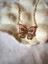 Butterfly Pink Flora Kolye 2