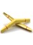 Korangle Yaprak Kamış Rigotti Gouged&shaped 1