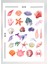 Mercan Temalı Sticker Seti Bullet Journal Ajanda Için Uygun Set 1