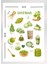 Matcha Temalı Sticker Seti Bullet Journal Ajanda Için Uygun Set 1