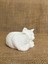 Kedi Minimalist Dekoratif Kaktüs ve Sukulent Saksısı, Beyaz Renkli Hediyelik Kaktüs ve Sukulent Saksısı , Ev Dekoru, Masa Dekoru 4