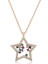 925 Ayar Gümüş Rose Yıldız Kolye 1