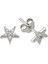 925 Ayar Gümüş Yıldız Çivili Küpe 1