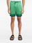 Yeşil Erkek Deniz Şortu Ss 1