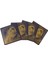 Keman Tel Pirastro Evah Pirazzi Gold Set G-Silver E-Loop 1