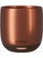 Ember Cup 178 ml Isıtılabilir Fincan, Akıllı Sıcaklık Kontrolüyle Kusursuz Keyif 1