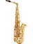 Saksofon Selmer-Paris Signature Lacquered, Outfit Alto 1