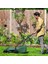 Home & Garden Easy Rotak 32-220 Çim Biçme Makinesi 5