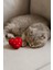 Kedi Oyuncağı Catnip ve Zilli Interaktif, Oyun Arkadaşı - Peluş Çilek 4