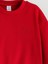 Bisiklet Yaka Nakışlı Kız Çocuk Sweatshirt (W5) 3